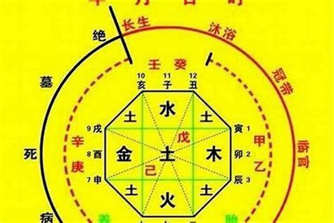 喜用神木|八字入门基础 第六篇 如何判断八字喜用神